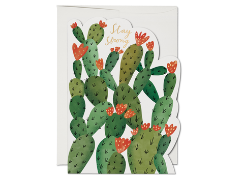 " Stay Strong Cactus " Card