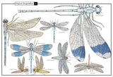 Wonders of Nature: Explorations in the World of Birds, Insects and Fish