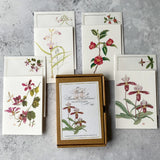 Mark Isaac-Williams Luxury Hong Kong Botanicals Illustrations (set of 8)