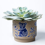 Silt Koala Planter